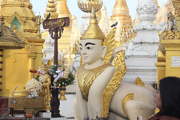 khám phá Shwedagon myanmar