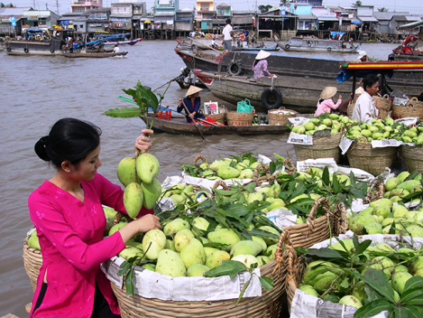 cho-noi-mien-tay-03.jpg.png