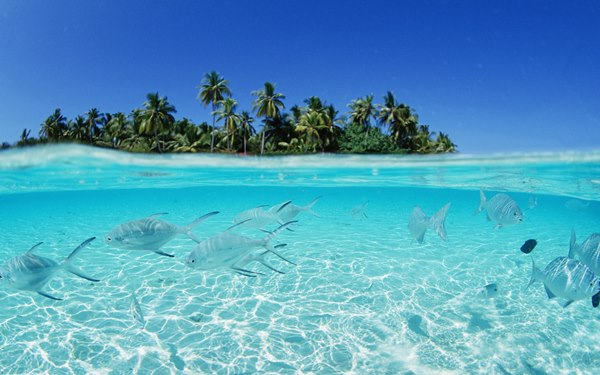 Maldives.jpg