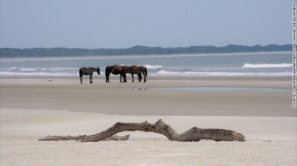 6 Cumberland Island Georgia 01.jpg