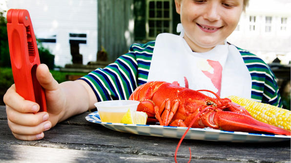 Maine Lobster Festival.jpg
