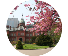 hen gap anh o sapporo