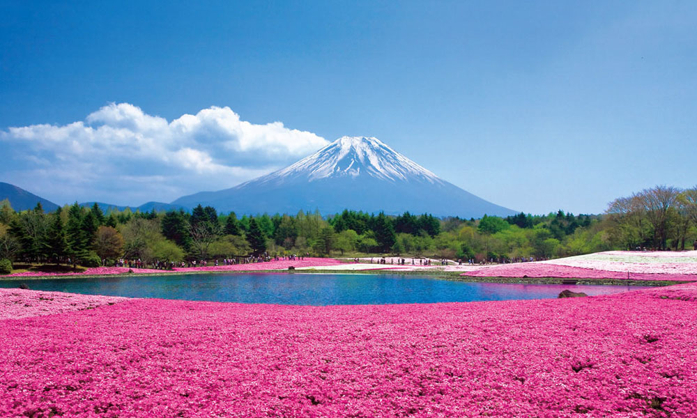 Tokyo Fuji Moutain
