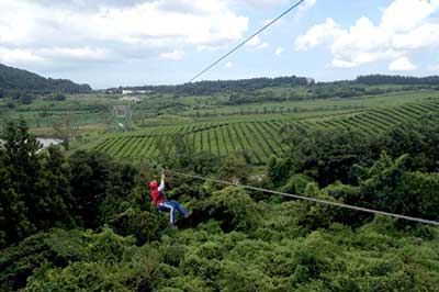 Nhất định phải thử ở JEJU