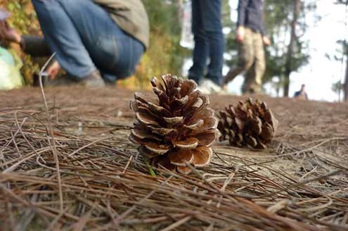 C&oacute; một Đ&agrave; Lạt như thế