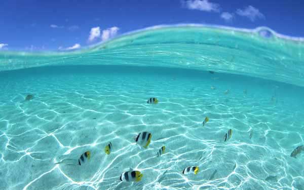 Nên và không nên khi du lịch Hawaii