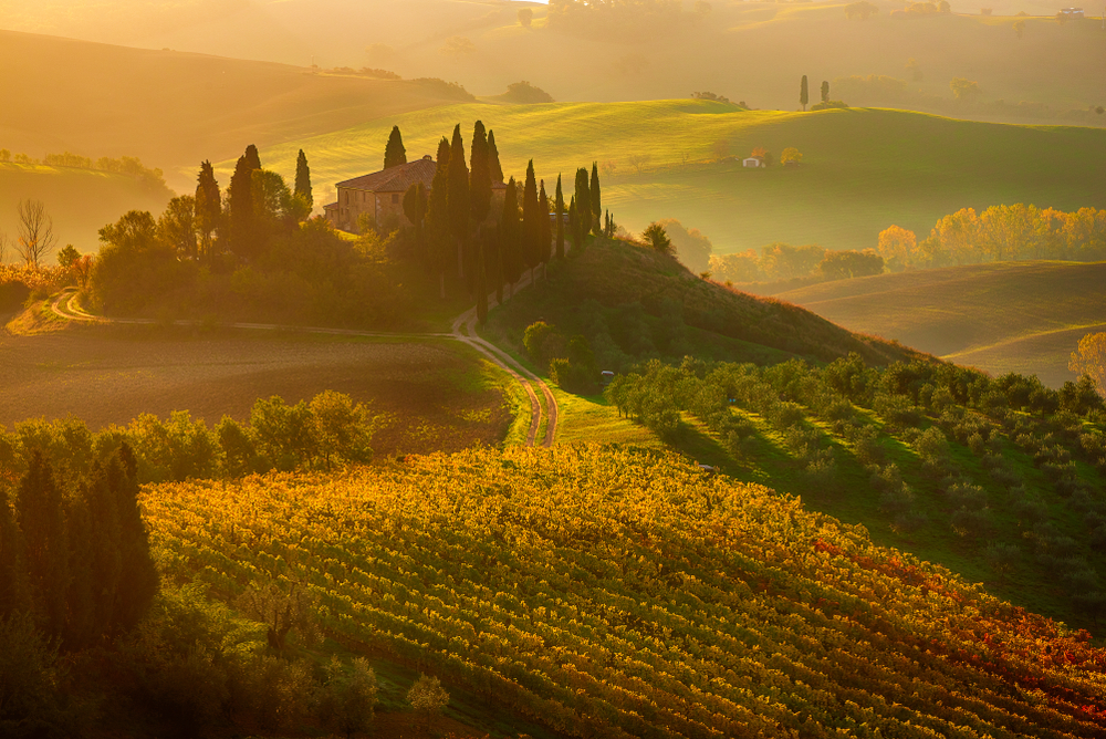 Một thoáng bình yên vùng đất Tuscany (Ý) 