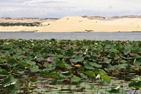 Lãng mạn Bàu Sen Phan Thiết