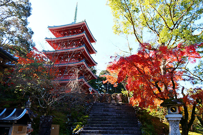 CHÙA CHIKURIN-JI