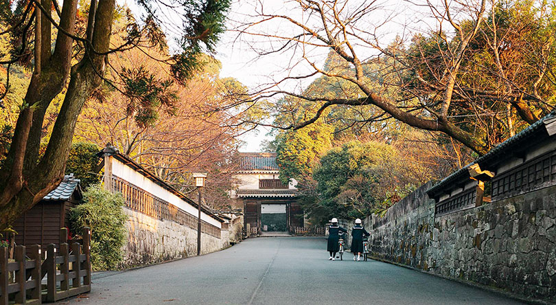 Miyazaki
