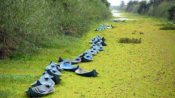 Thăm rừng nước đỏ U Minh Thượng 