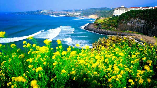 JeJu - Hòn đảo '3 có 3 không'