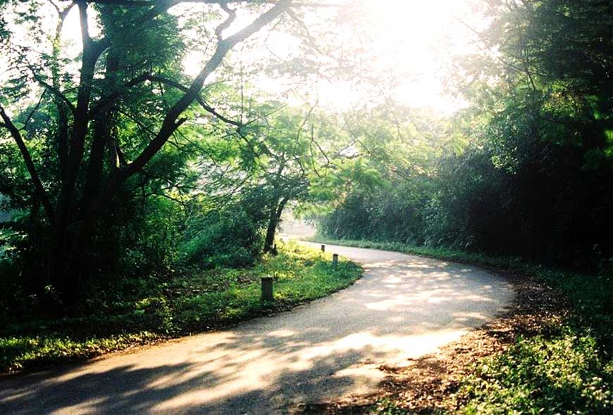 Tour du lịch Hà Nội - Những điểm du lịch gần Hà Nội để khám phá