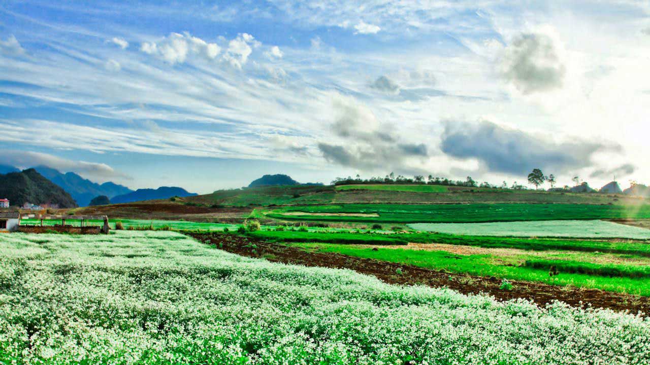 Mộc Châu - Nơi bình yên vẫy gọi