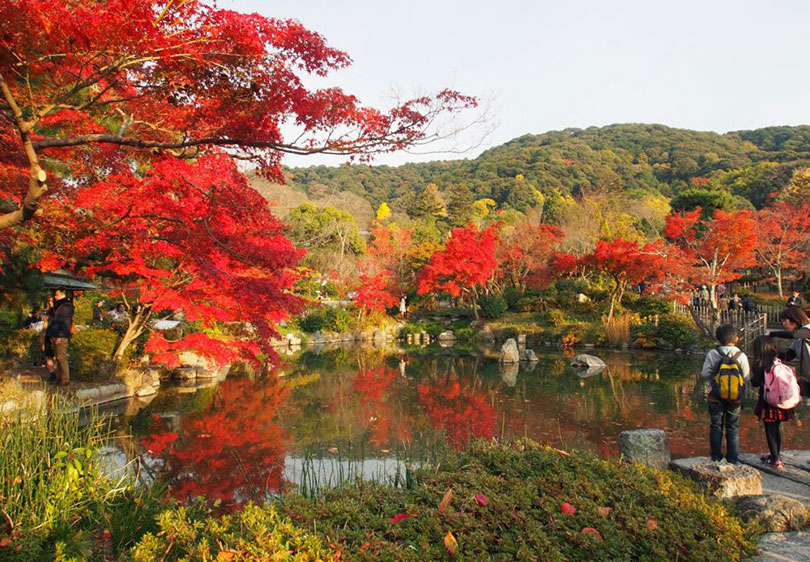 Bức thư tình đến Kyoto