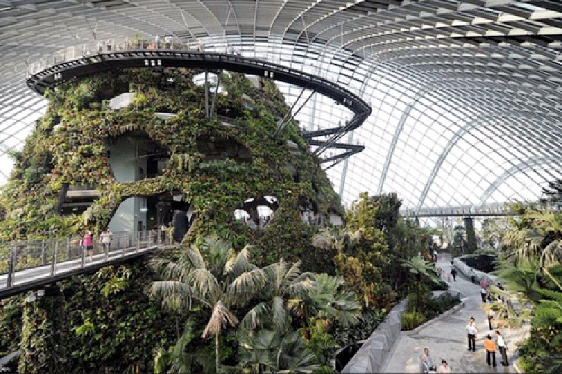 Khu vườn độc đáo nhất Singapore