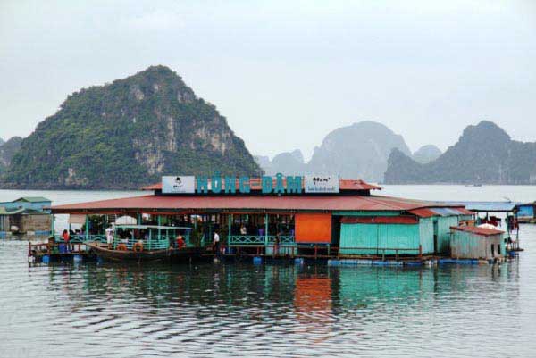 Tư vấn du lịch Hạ Long 2013