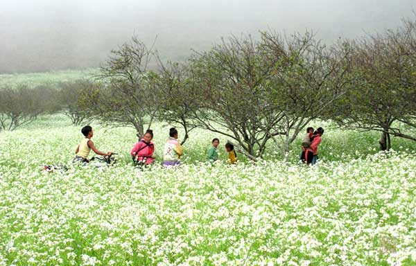 Tháng 11 đi du lịch ở đâu?