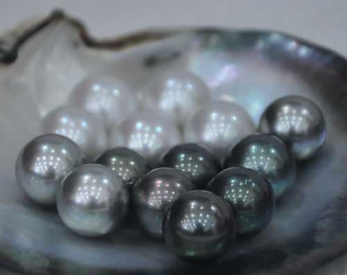 Kinh Nghiệm mua ngọc trai thật khi du lịch Phú Quốc