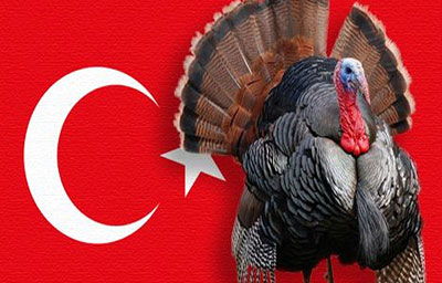 Thổ nhĩ kỳ, gà tây và câu chuyện xung quanh cái tên Turkey nhạy cảm