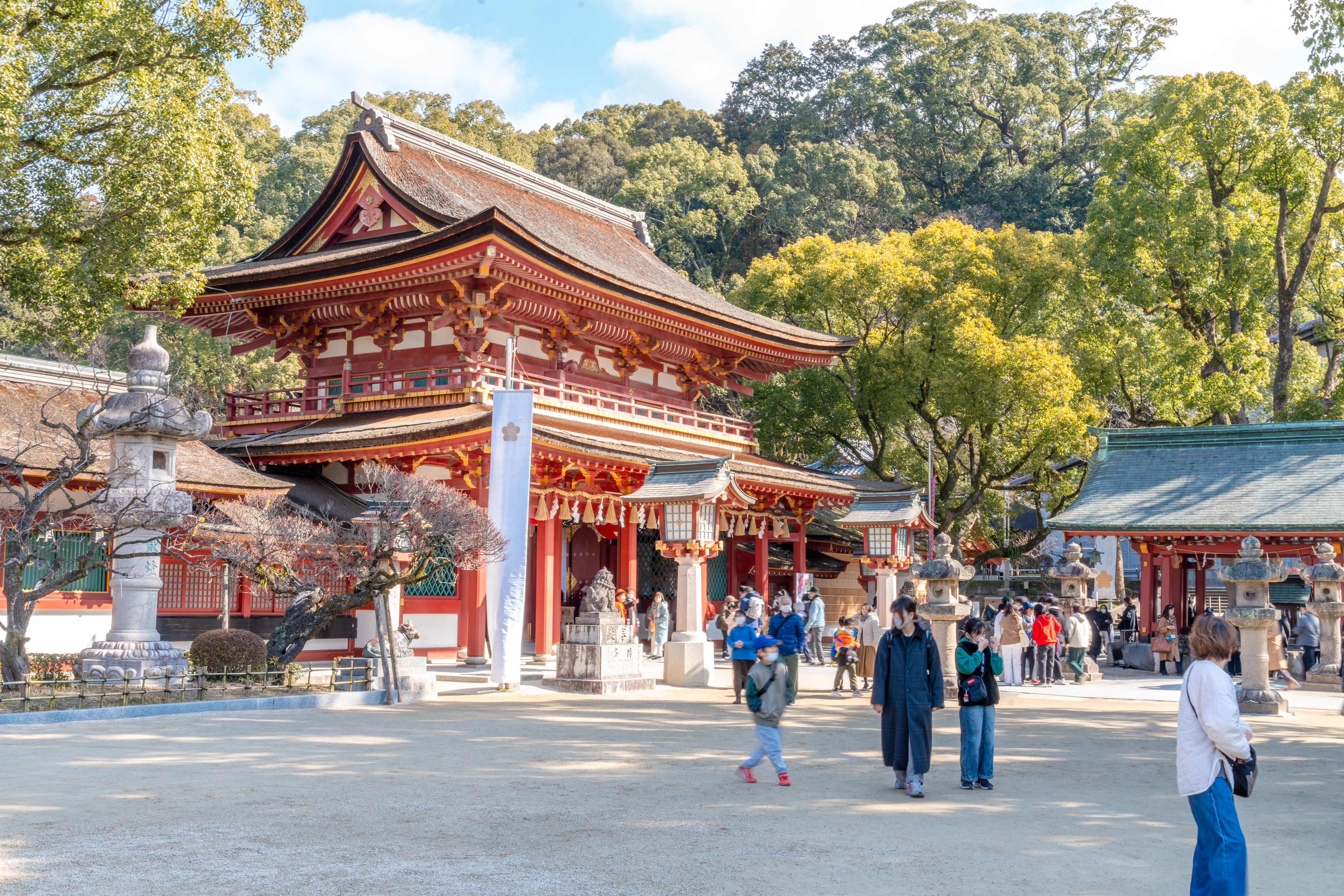 NHẬT BẢN THÁNG 2: BẢN GIAO HƯỞNG GIỮA SẮC HOA MƠ VÀ TUYẾT TRẮNG TINH KHÔI