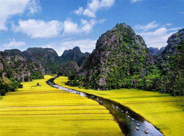 Những cánh đồng đẹp mê hồn của xứ Bắc