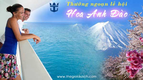 Thưởng ngoạn lễ hội Hoa anh đào theo phong cách hoàng gia