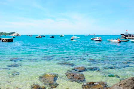Tư vấn du lịch Hội An - Cù Lao Chàm  